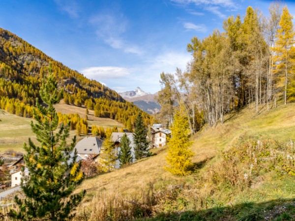 vue de la fenêtre de chambre 1
